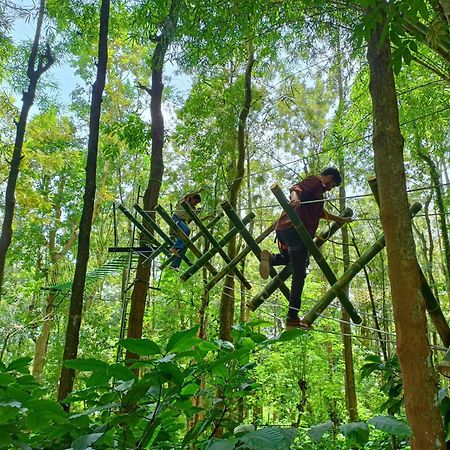 Adrak Mountain Mist Forest Resort Pulpally Bagian luar foto