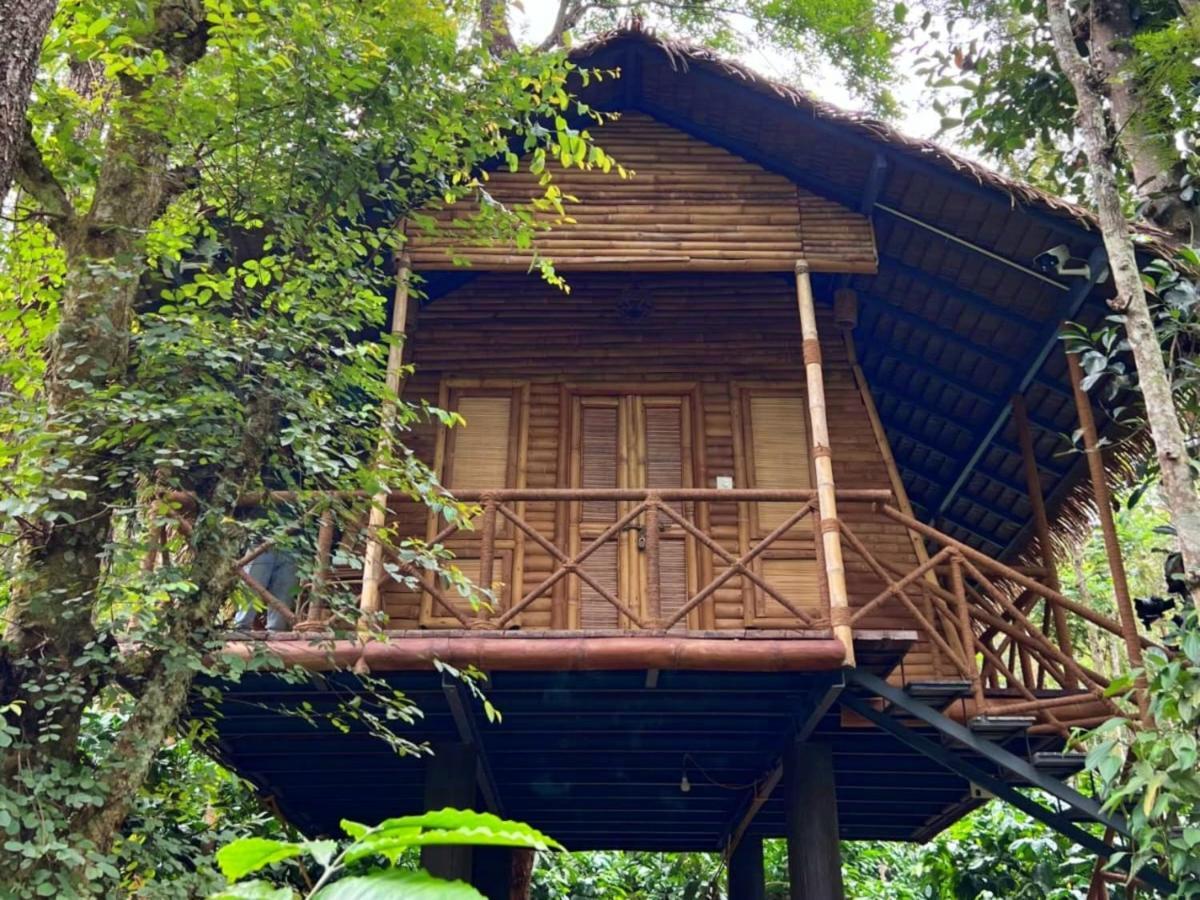 Adrak Mountain Mist Forest Resort Pulpally Bagian luar foto