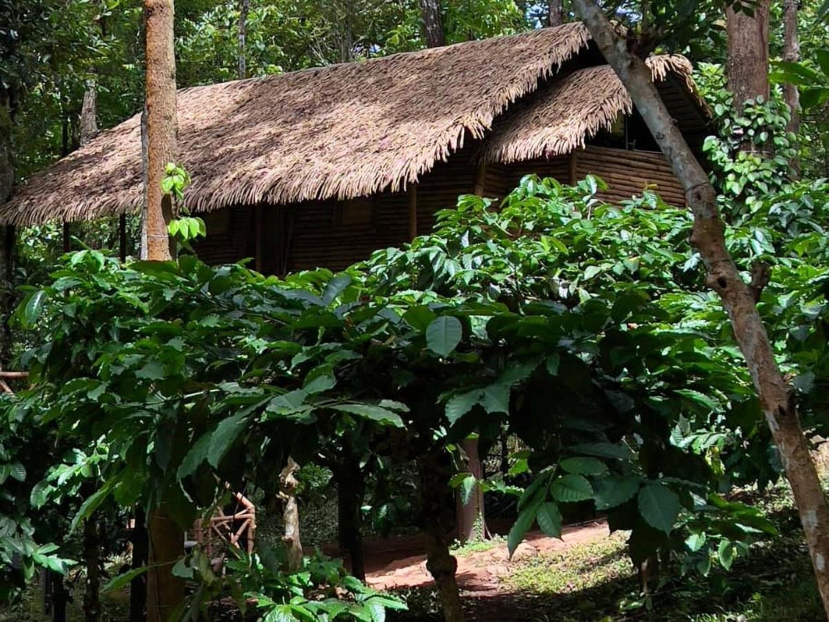 Adrak Mountain Mist Forest Resort Pulpally Bagian luar foto