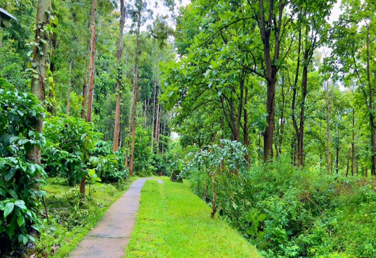 Adrak Mountain Mist Forest Resort Pulpally Bagian luar foto