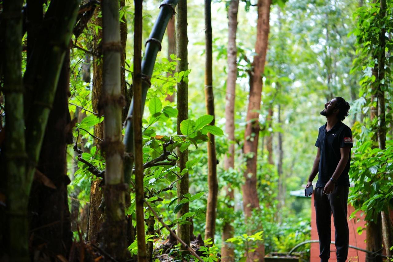 Adrak Mountain Mist Forest Resort Pulpally Bagian luar foto