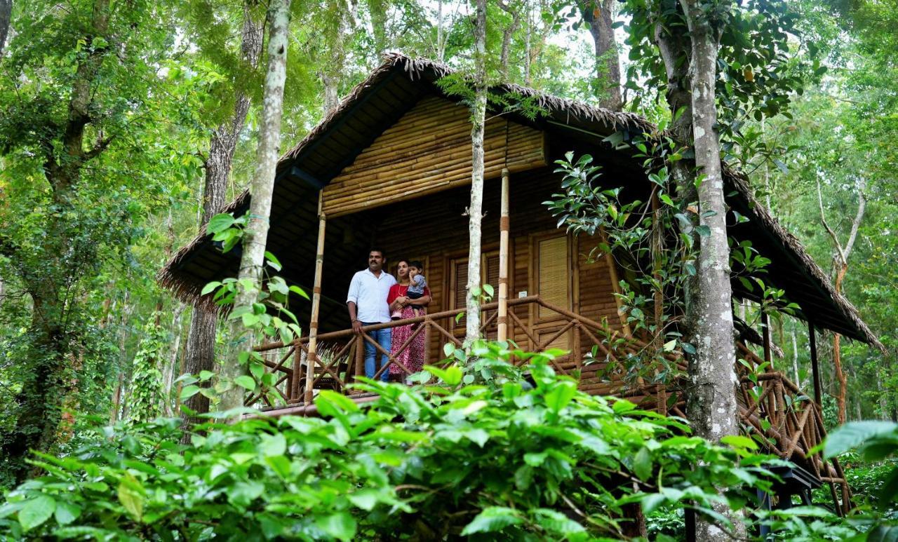 Adrak Mountain Mist Forest Resort Pulpally Bagian luar foto