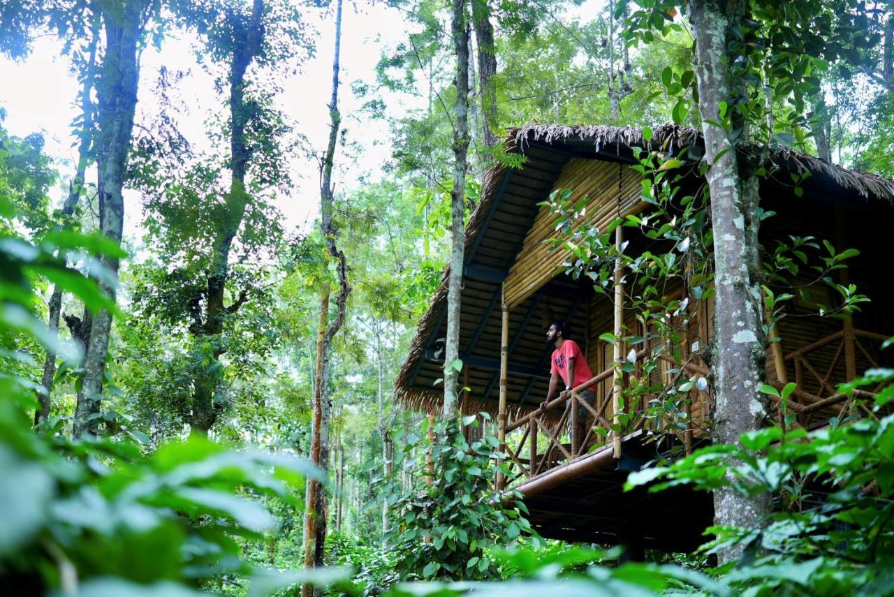 Adrak Mountain Mist Forest Resort Pulpally Bagian luar foto